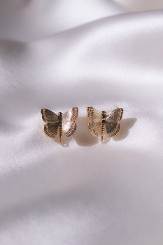 Butterfly Dreams Stud Earrings-Chvker Jewelry