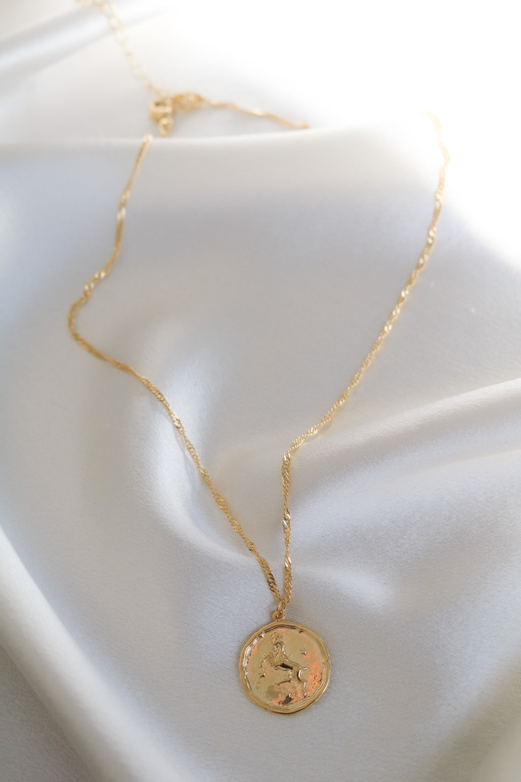Zodiac Medallion Necklace-Chvker Jewelry